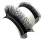 Callas Individual Eyelashes for Extensions, 0.07mm D Curl - Mixed Tray